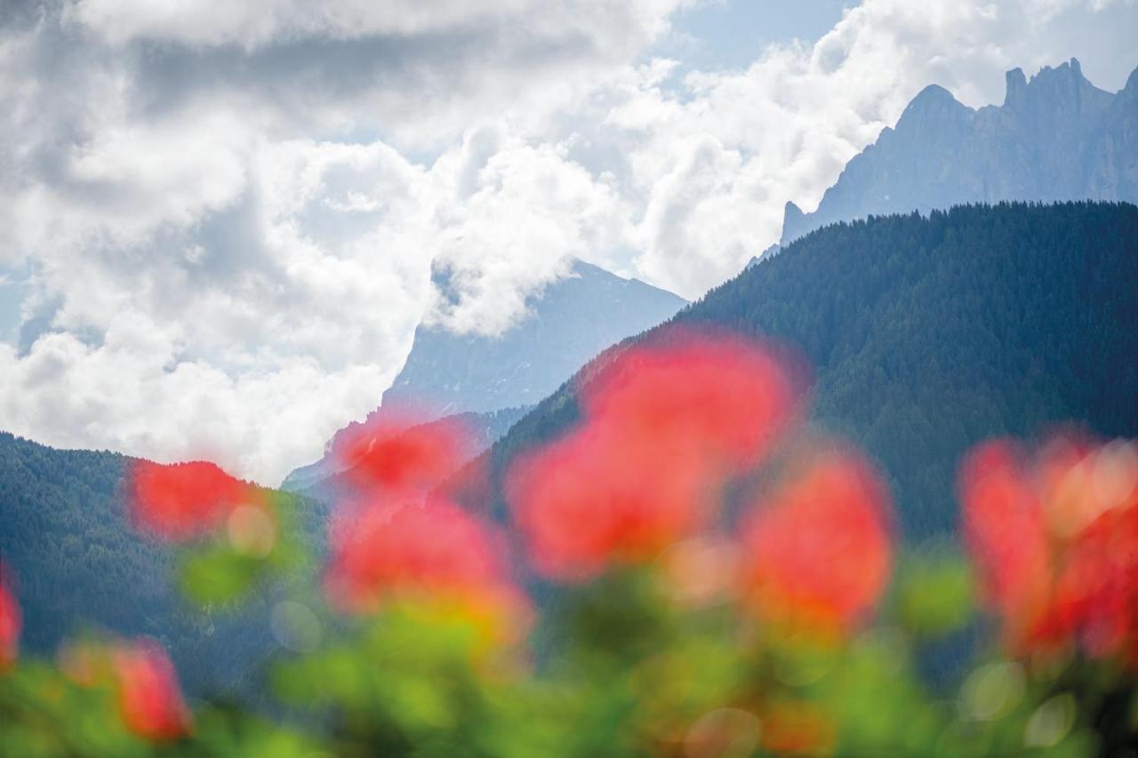 Mountain Residence Alpenhof - Company Hotel Alpenhof Kg Sas Der Gasser Renate Bressanone Kültér fotó